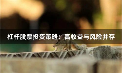 杠杆股票投资策略：高收益与风险并存