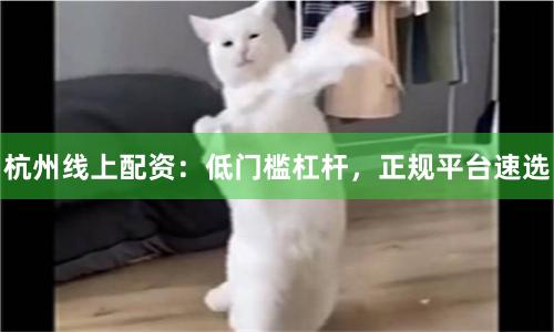杭州线上配资：低门槛杠杆，正规平台速选